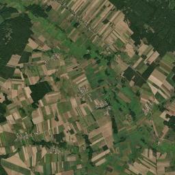 Satelita