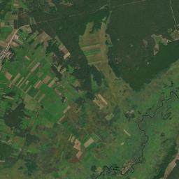 Satelita