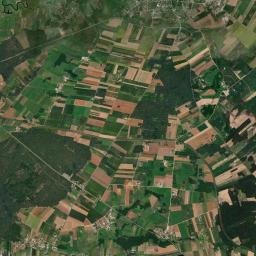 Satelita