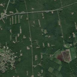 Satelita