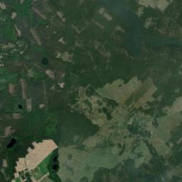 Satelita