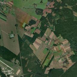 Satelita