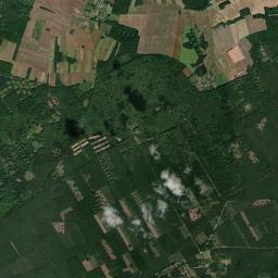 Satelita