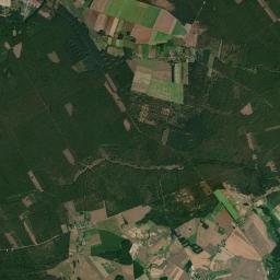 Satelita