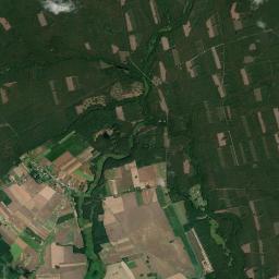Satelita