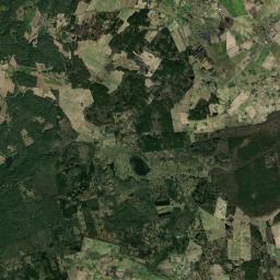 Satelita