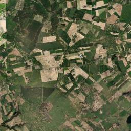 Satelita