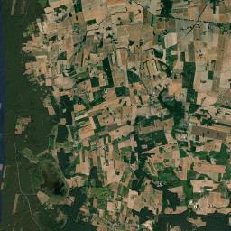 Satelita