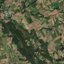 Satelita