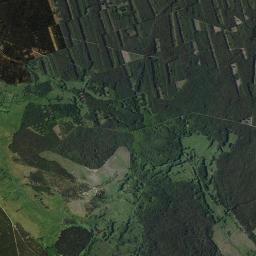 Satelita