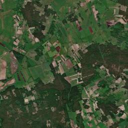 Satelita