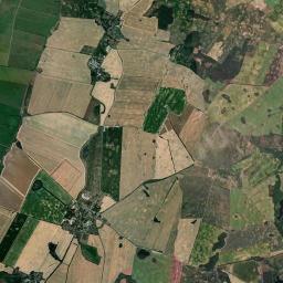 Satelita