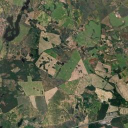 Satelita