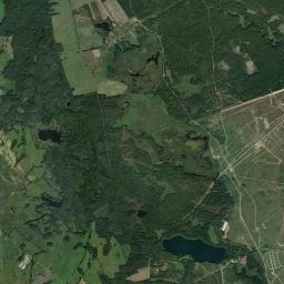 Satelita
