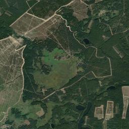 Satelita