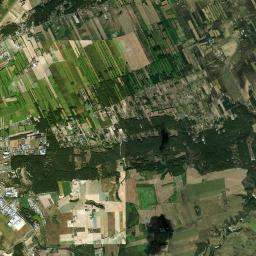 Satelita