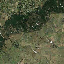 Satelita