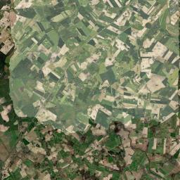 Satelita