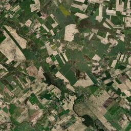 Satelita