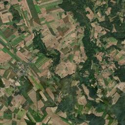Satelita
