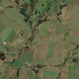 Satelita