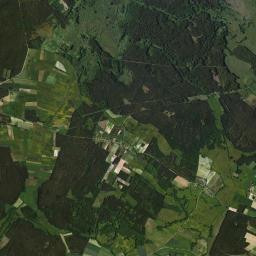 Satelita