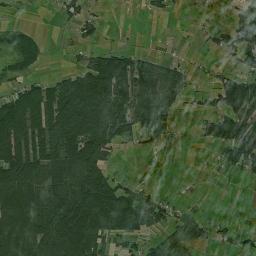 Satelita