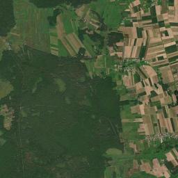 Satelita