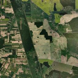 Satelita