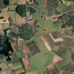 Satelita