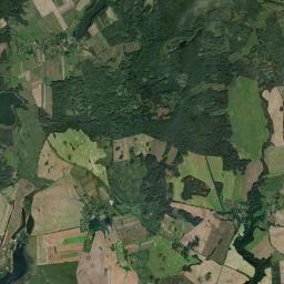 Satelita