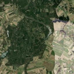 Satelita