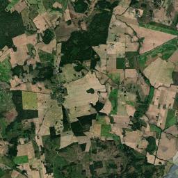 Satelita