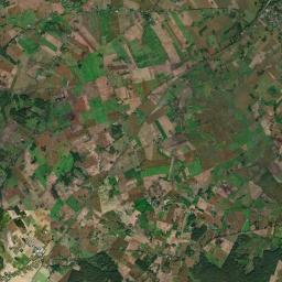 Satelita
