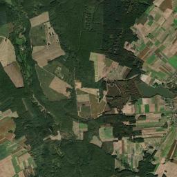 Satelita
