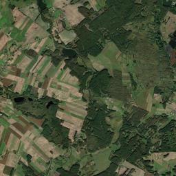 Satelita