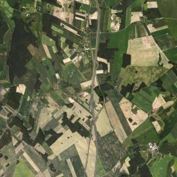 Satelita