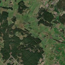 Satelita