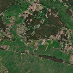 Satelita