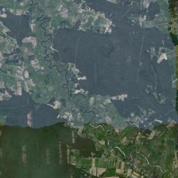 Satelita