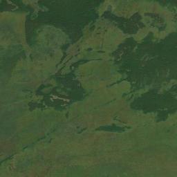 Satelita