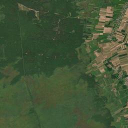 Satelita