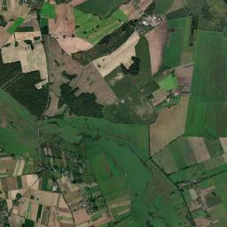 Satelita