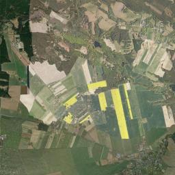 Satelita