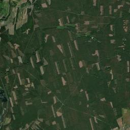 Satelita