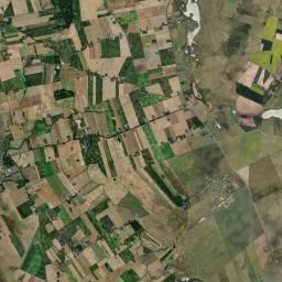 Satelita