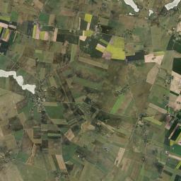 Satelita