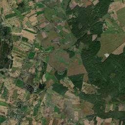 Satelita