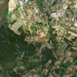 Satelita