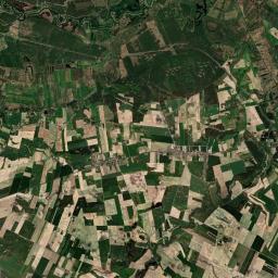 Satelita